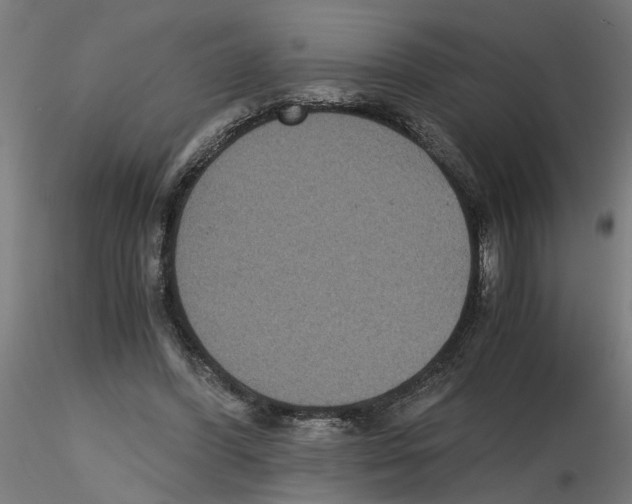 X0000116480396201001061124