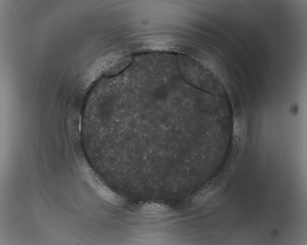 X0000116480397201001061124