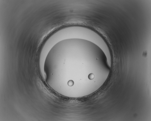 X0000116480399201001061124