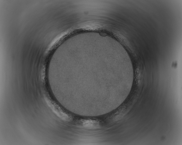 X0000116480400201001061124