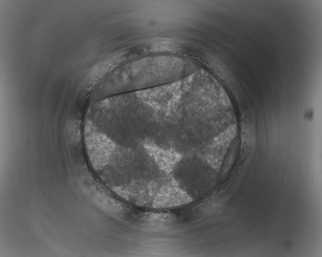 X0000116480401201001061124