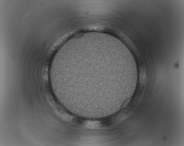 X0000116480403201001061124