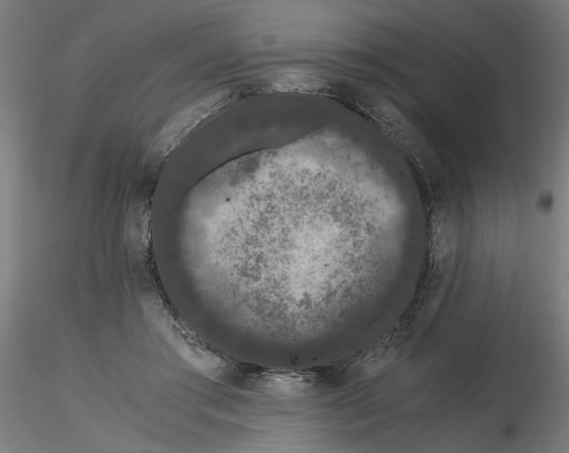 X0000116480405201001061124