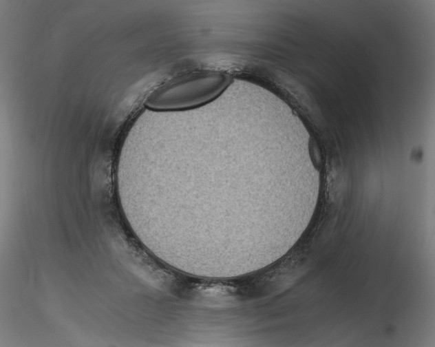 X0000116480407201001061124