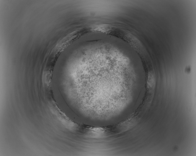 X0000116480409201001061124