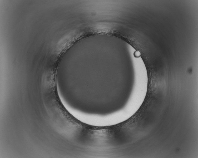 X0000116480411201001061124