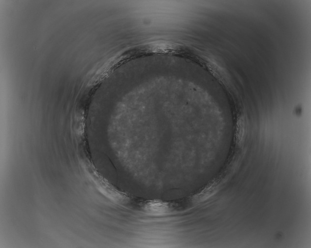 X0000116480413201001061124