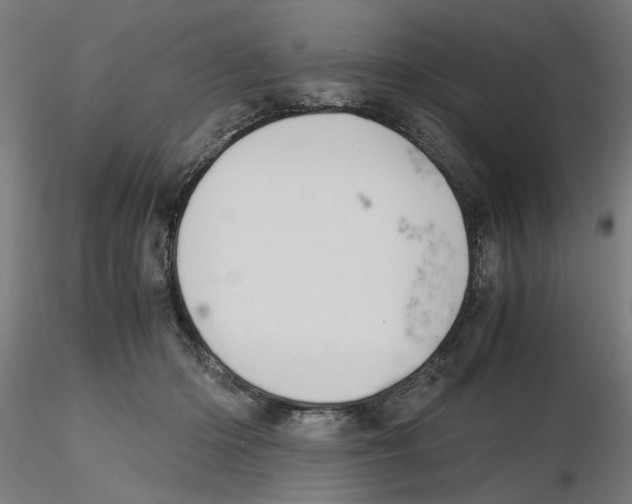 X0000116480414201001061124