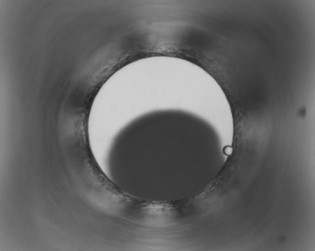 X0000116480415201001061124