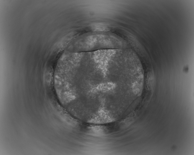 X0000116480417201001061124