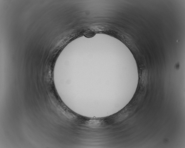 X0000116480418201001061124