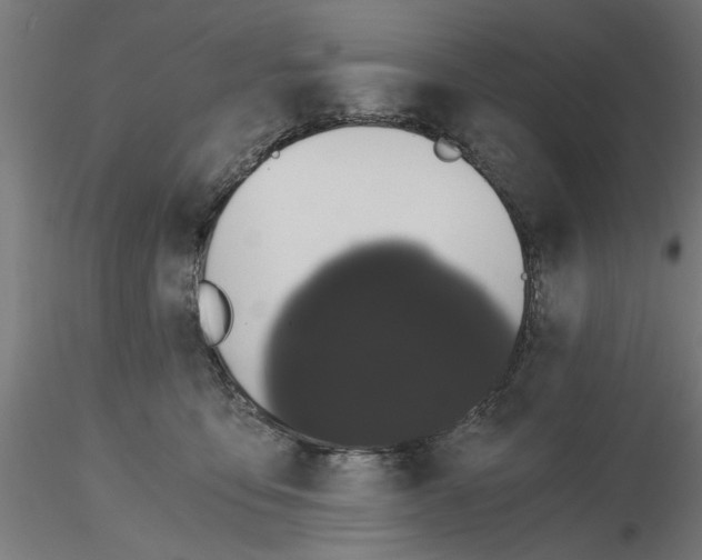 X0000116480419201001061124