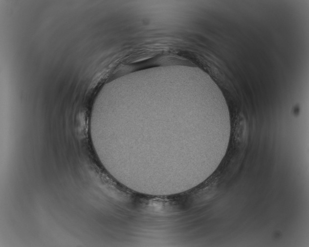 X0000116480420201001061124