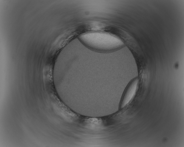 X0000116480421201001061124