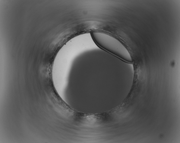 X0000116480423201001061124