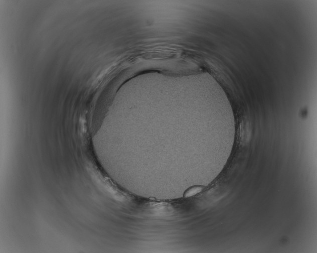 X0000116480424201001061124