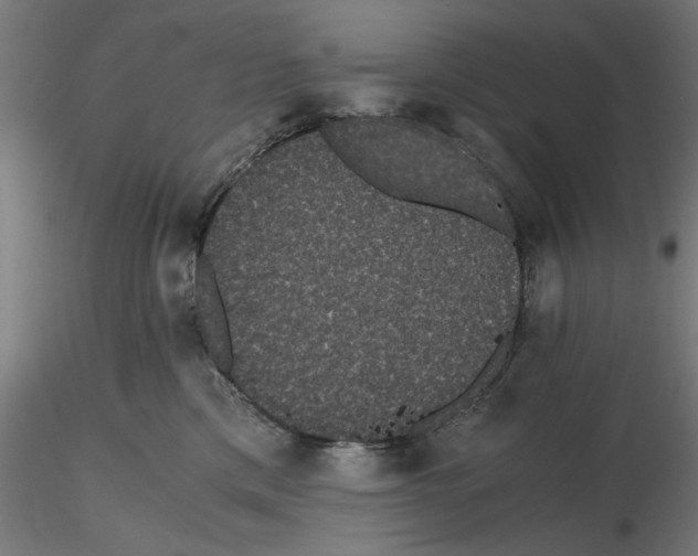 X0000116480425201001061124