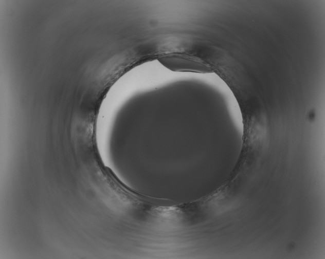 X0000116480427201001061124