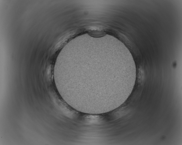 X0000116480428201001061124