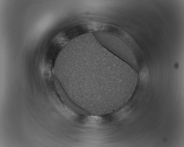 X0000116480429201001061124