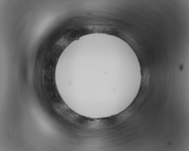 X0000116480430201001061124