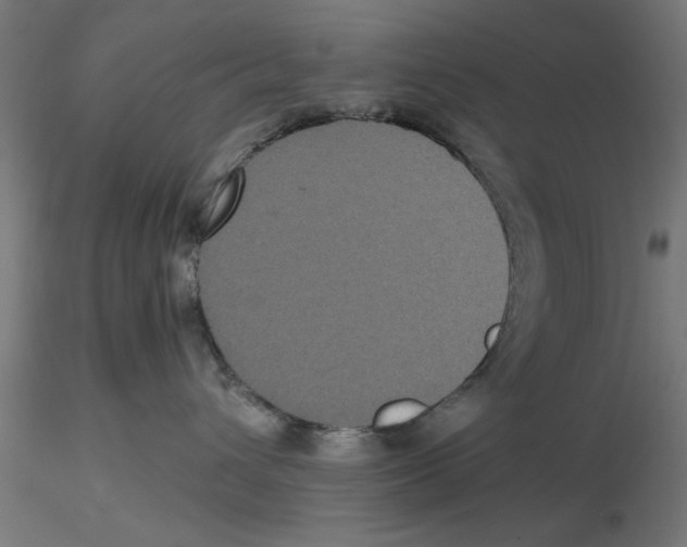 X0000116480432201001061124