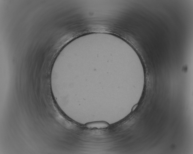 X0000116480433201001061123