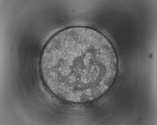 X0000116480434201001061123