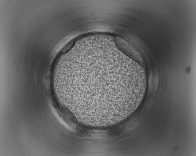 X0000116480436201001061123