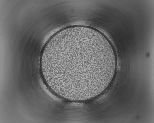 X0000116480437201001061123