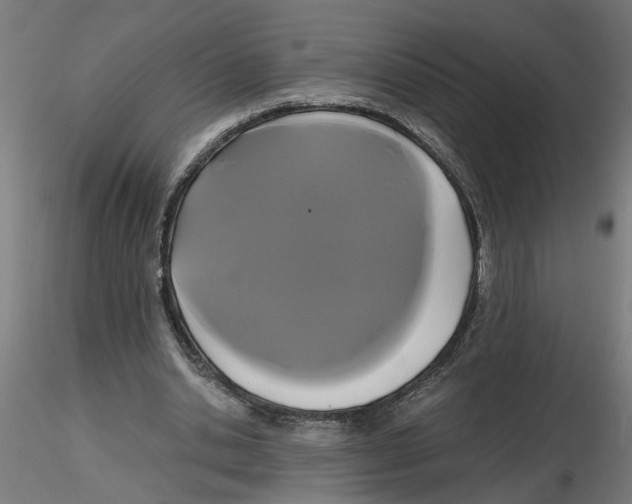 X0000116480438201001061123