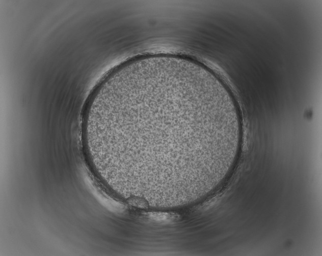 X0000116480439201001061123