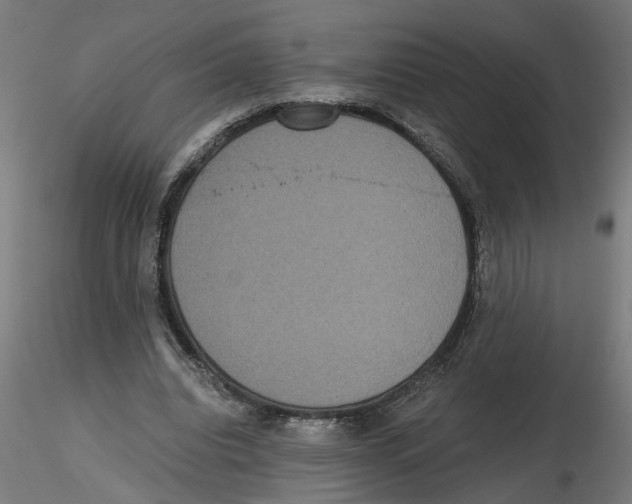 X0000116480440201001061123