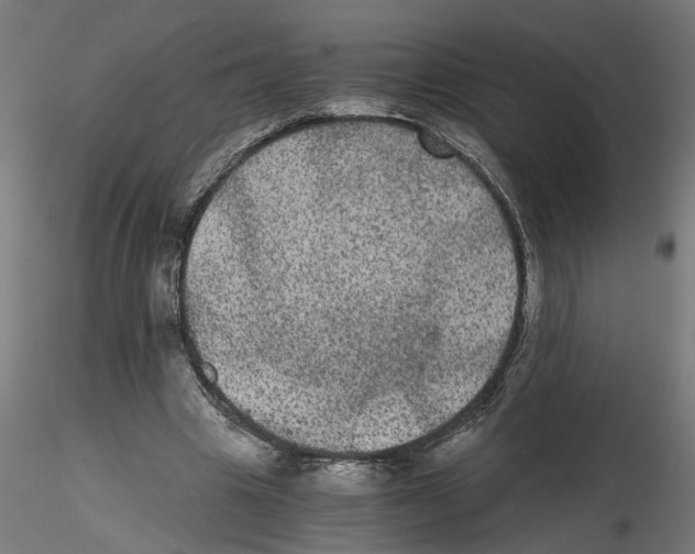 X0000116480441201001061123