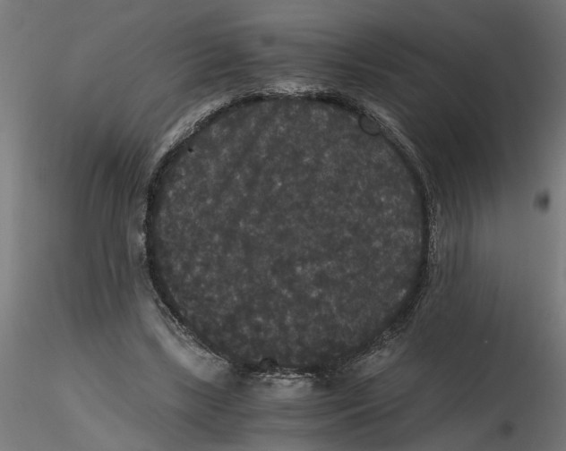 X0000116480443201001061123