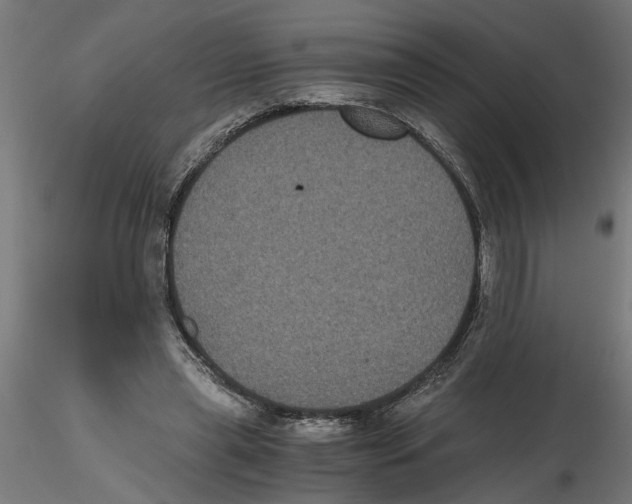 X0000116480445201001061123