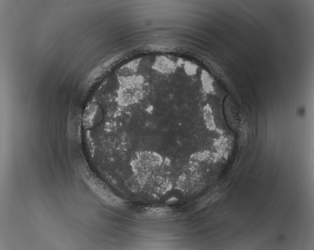 X0000116480446201001061123