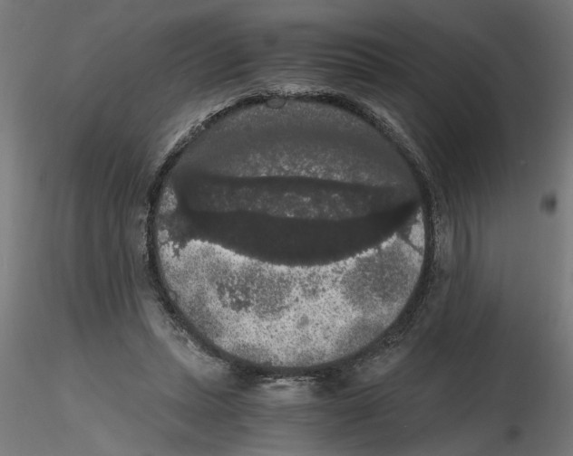 X0000116480447201001061123