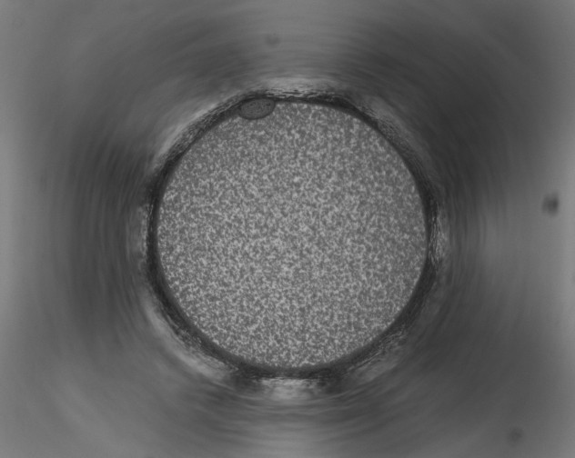 X0000116480448201001061123