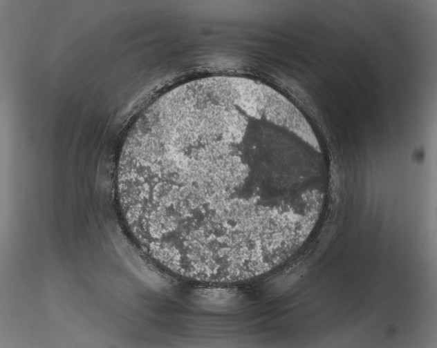 X0000116480449201001061123