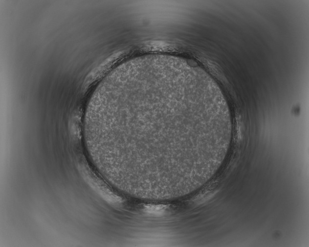 X0000116480450201001061123