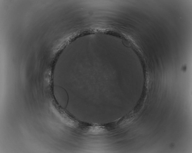 X0000116480451201001061123