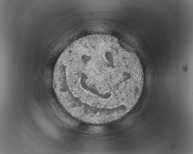 X0000116480457201001061123