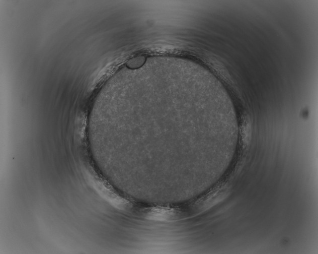 X0000116480458201001061123