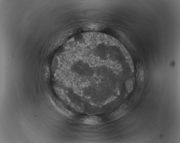 X0000116480459201001061123