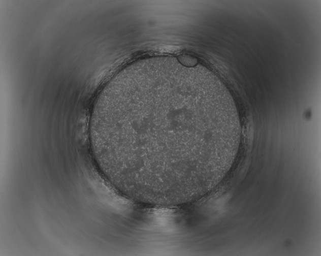 X0000116480462201001061124