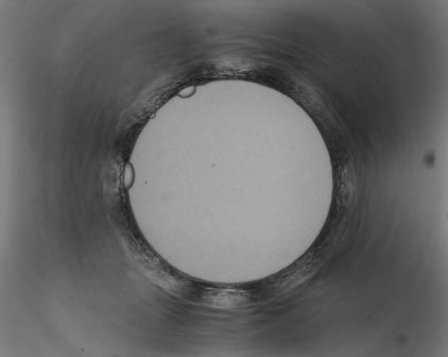 X0000116480463201001061124