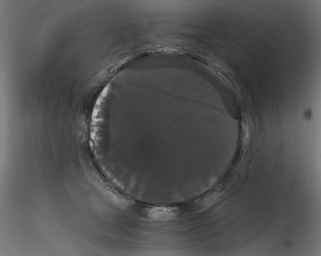 X0000116480465201001061124