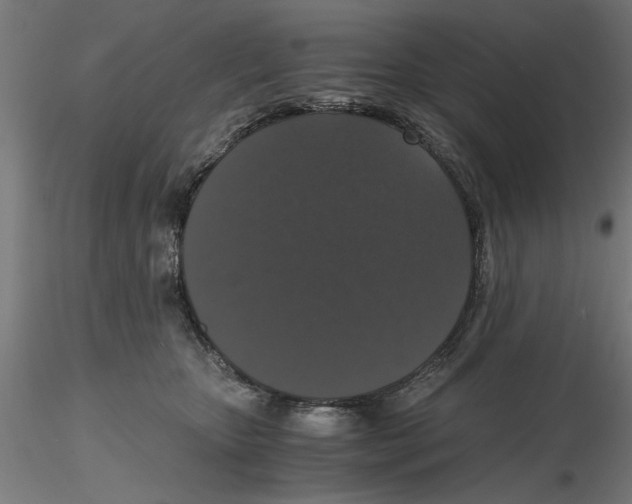 X0000116480467201001061124