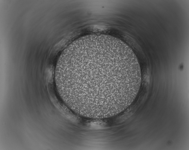 X0000116480468201001061124